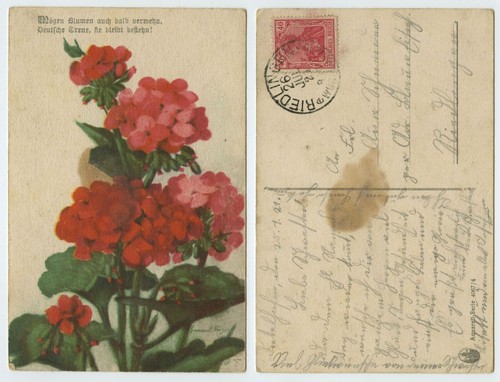 117864 mögen blumen - -,
